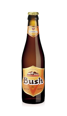 Bush ambrée 33 cl-image